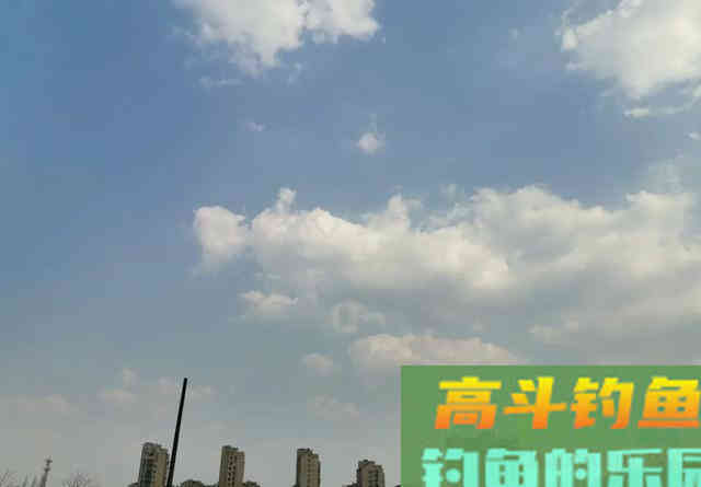 荒废藕塘垂钓鲫鱼，先找出难点再对应施钓