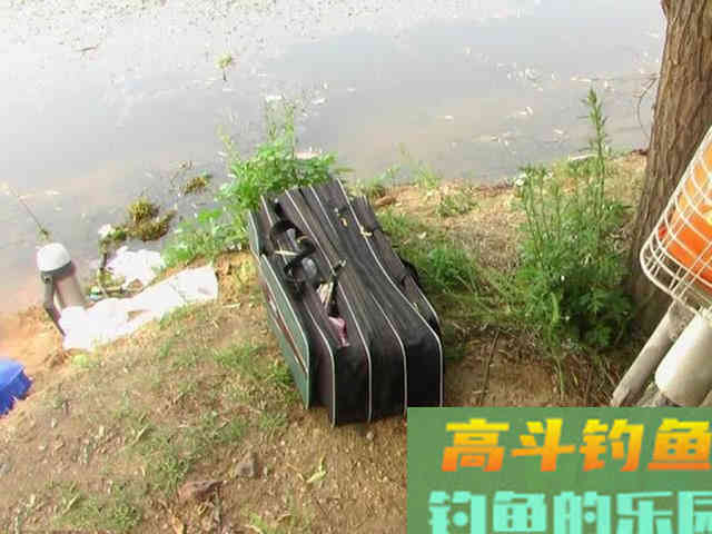 这种小翘嘴鱼长不大吗?有人叫它撅嘴鲢 这种小翘嘴鱼长不大吗?有人叫它撅嘴鲢