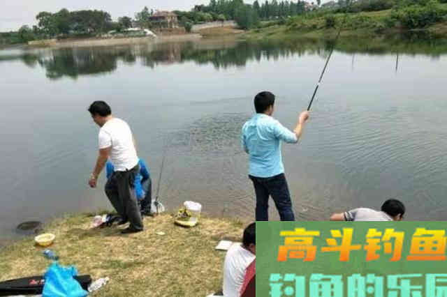 对付草鱼，究竟用浮钓还是底钓？老司机实话实说