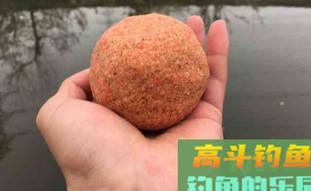 野河钓不到半斤以上的鲫鱼?可能是鱼太多了 野河钓不到半斤以上的鲫鱼?可能是鱼太多了