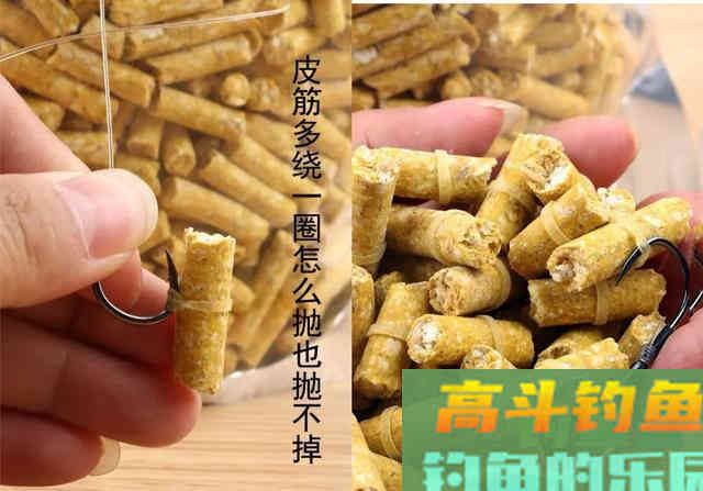 如何钓草鱼?应因地制宜,分析鱼情特点正确选择钓底 如何钓草鱼?应因地制宜,分析鱼情特点正确选择钓底