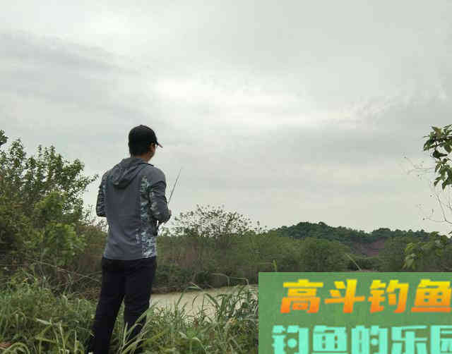 钓黑鱼的黄金季节要到了 钓黑鱼的黄金季节要到了