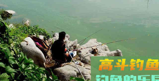 鲫鱼喜欢藏在这些地方，找准保你钓得爽