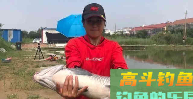 撑握用子线长度、钩距与调钓的关系,是钓获青鱼的关键 撑握用子线长度、钩距与调钓的关系,是钓获青鱼的关键