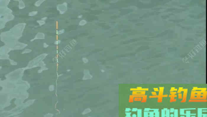 野钓鲫手不离竿的必要性分析,教你野钓好鲫鱼 野钓鲫手不离竿的必要性分析,教你野钓好鲫鱼