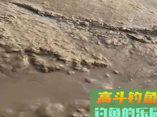 野生甲鱼难找不难钓，学会这两招，一找一个准