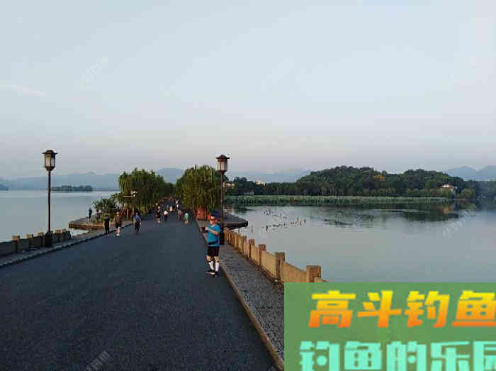 翘嘴鱼的习性与食性 翘嘴鱼的习性与食性