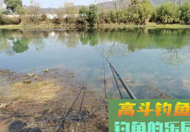 秋季钓鲫鱼,用多长的鱼竿合适 秋季钓鲫鱼,用多长的鱼竿合适