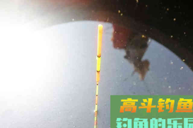 冬季降温后钓鲫鱼,为什么不建议钓钝,只因这5点 冬季降温后钓鲫鱼,为什么不建议钓钝,只因这5点