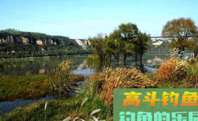关于传统&ldquo;冬钓鲫&rdquo;的心得体会