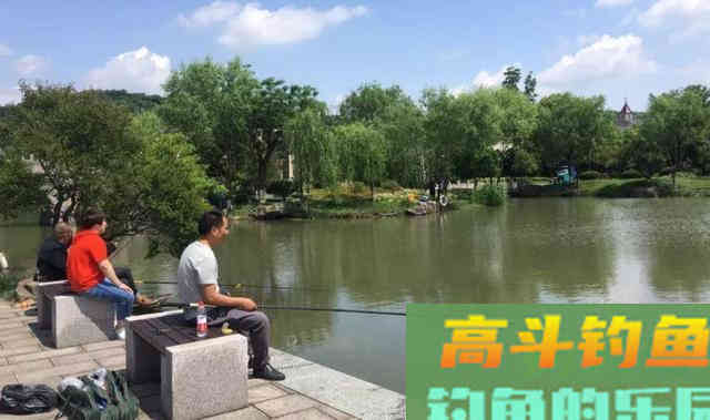 野钓鲤鱼,要以守为主,灵活应变 野钓鲤鱼,要以守为主,灵活应变