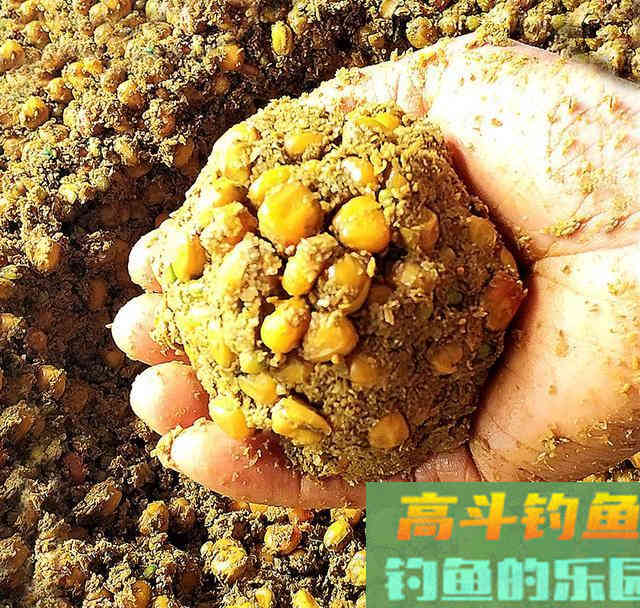 为什么钓了几条鱼后就没动静了?看老钓友如何解决 为什么钓了几条鱼后就没动静了?看老钓友如何解决