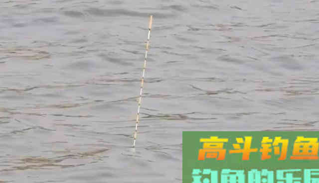 面对狡猾的鲤鱼，这样做才能让它安心