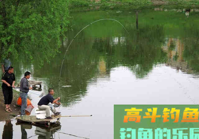 初夏在野钓鲫鱼,隔壁钓友连杆不断你却不上鱼 初夏在野钓鲫鱼,隔壁钓友连杆不断你却不上鱼