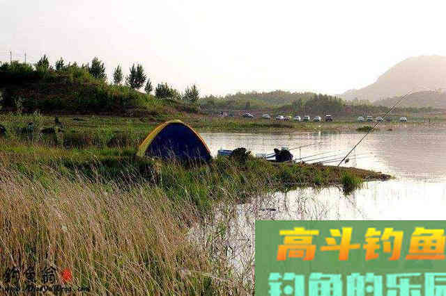 只要水面不结冰，冬天的鲤鱼，多半藏在这些位置