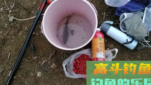 冬钓鲫鱼这些小技巧你要知道,别总是老一套 冬钓鲫鱼这些小技巧你要知道,别总是老一套