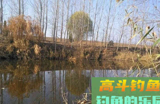 春季钓获罕见2斤的巨型鲫鱼，野钓鲫鱼详细攻略教学