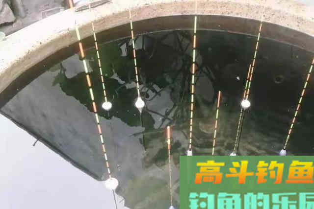 据说天气越热，这鳊鱼钓法反而更管用