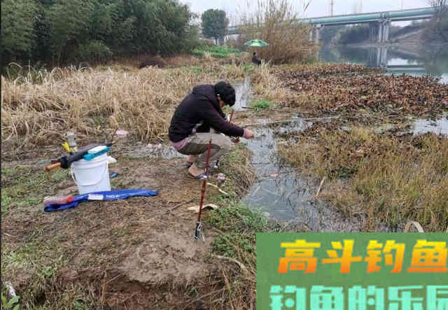钓到大鲫鱼并非偶然，多天实战，解释野钓的正确思路