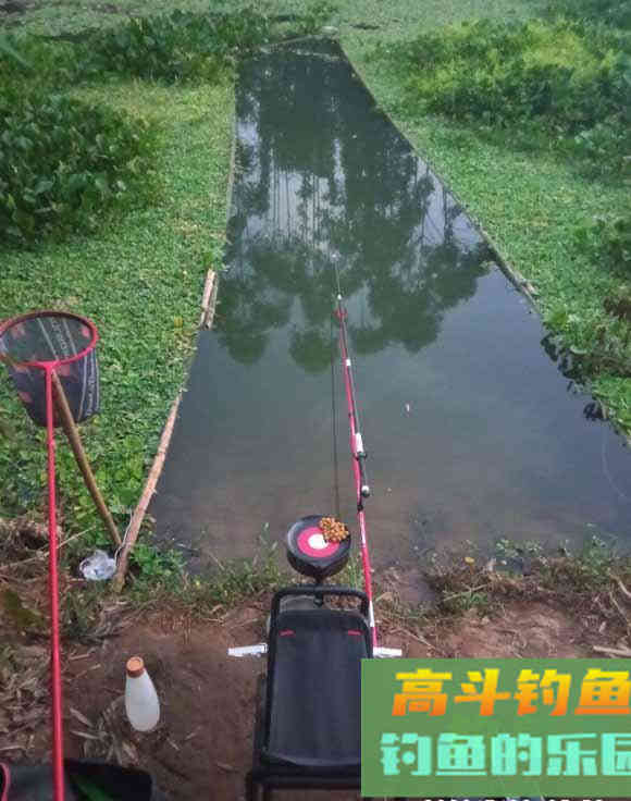 鳊鱼狂口期已到，攻略及技巧分享，选好钓位不会走空