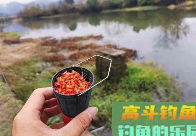 大鲤鱼狡猾至极,钓灵不如钓笨,黑漂后再起竿中鱼率高 大鲤鱼狡猾至极,钓灵不如钓笨,黑漂后再起竿中鱼率高