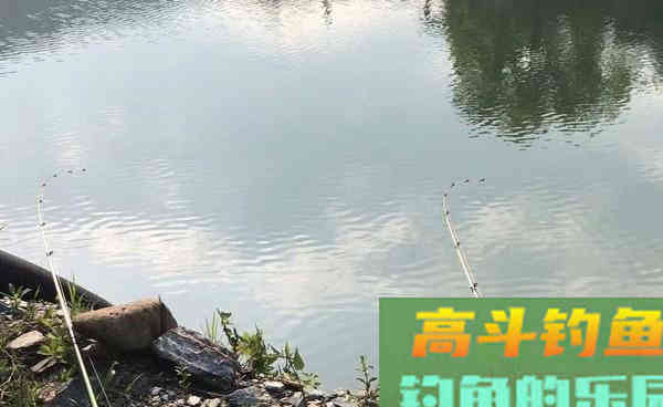 秋季野钓黄颡鱼的钓法,还是这种最给力 秋季野钓黄颡鱼的钓法,还是这种最给力