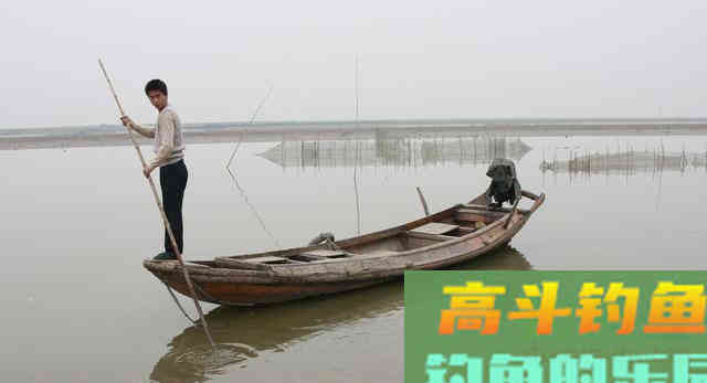 为何鲤鱼在美国像度假,在国内像渡劫 为何鲤鱼在美国像度假,在国内像渡劫