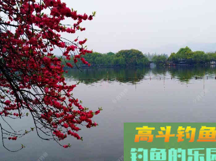 全方位谈钓鳊鱼的见解与体会，助你钓获大鳊鱼