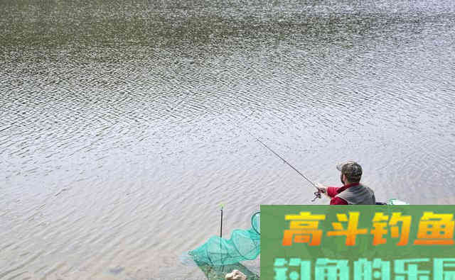 个人垂钓鲢鳙鱼心得分享，钓友可以借鉴参考