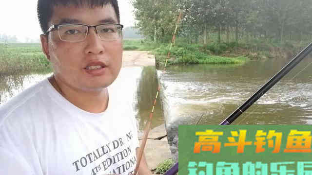 钓鲫鱼出现这七种漂相，都是鱼口，一抓一个准