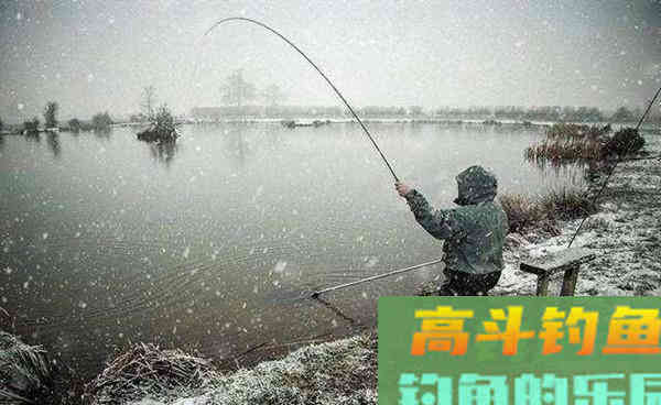 冬季手竿钓鲫鱼,选择这些天气出钓,渔获更有保证 冬季手竿钓鲫鱼,选择这些天气出钓,渔获更有保证