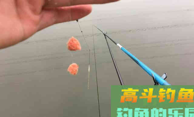 拉饵抽窝钓鲫鱼反被杂鱼烦死?注意一个小细节就可能连杆 拉饵抽窝钓鲫鱼反被杂鱼烦死?注意一个小细节就可能连杆