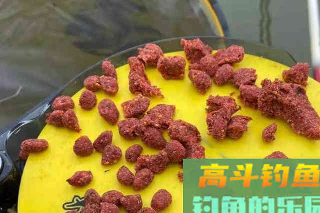 热天不是钓不到大板鲫，只因你没用这钓法