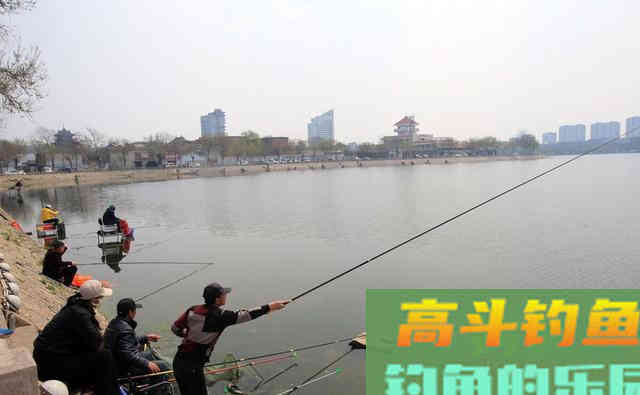 野河钓鲫鱼，满足2个原则的钓位有7个
