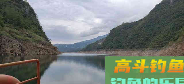鲢鳙做钓的注意点,掌握好以下6条必定收获满满! 鲢鳙做钓的注意点,掌握好以下6条必定收获满满!