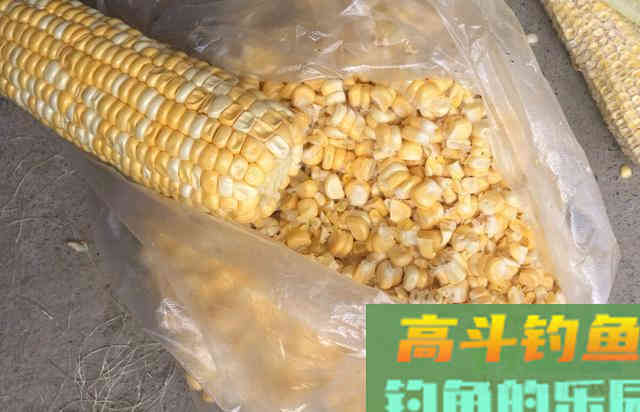 各种通用,简单,效果不错的钓草鱼方法 各种通用,简单,效果不错的钓草鱼方法