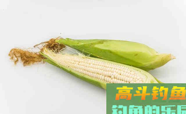 钓翘嘴的季节到了，牢记这6点，钓翘嘴比钓鲢鱼还简单