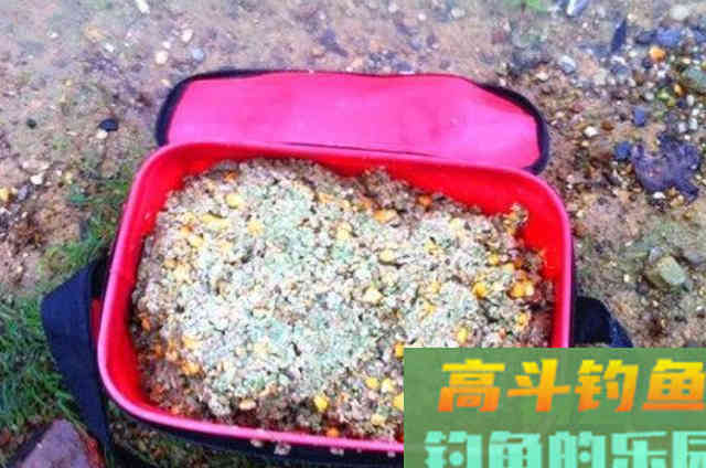 六月前,鳊鱼只要按我说的钓,天气再热也能狂拉不断 六月前,鳊鱼只要按我说的钓,天气再热也能狂拉不断