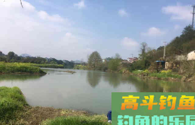 暴雨过后黄辣丁疯狂咬钩，两根鱼竿根本来不及