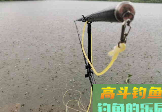 面对狡猾的鲤鱼，这样做才能让它安心