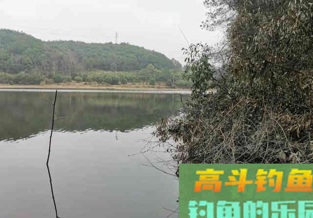 水库钓鲫鱼首选这三种钓位,尤其是初冬 水库钓鲫鱼首选这三种钓位,尤其是初冬