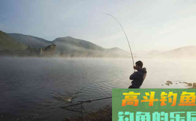 通过这6步学会钓鲢鳙技巧，对新手钓友很有用