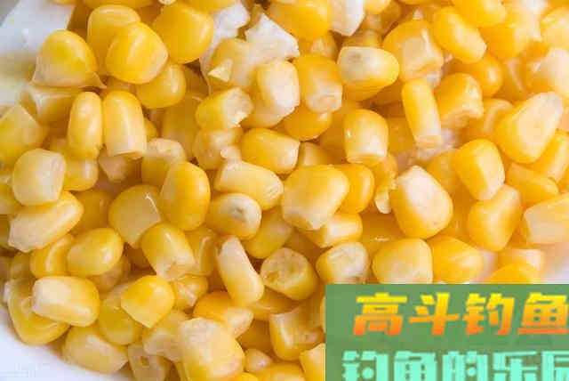 夏钓草鱼全攻略,看懂弄明白,想钓草鱼就是这么简单 夏钓草鱼全攻略,看懂弄明白,想钓草鱼就是这么简单