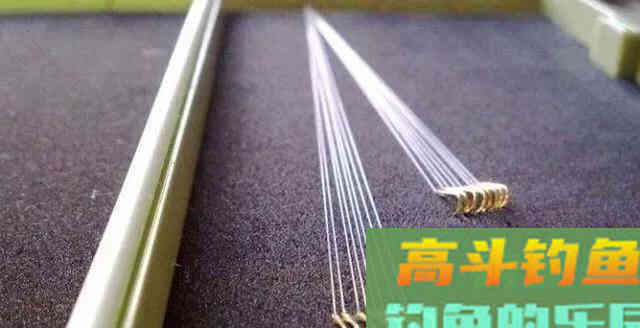 如何黑坑钓青鱼?合理运用钩距与子线的关系
