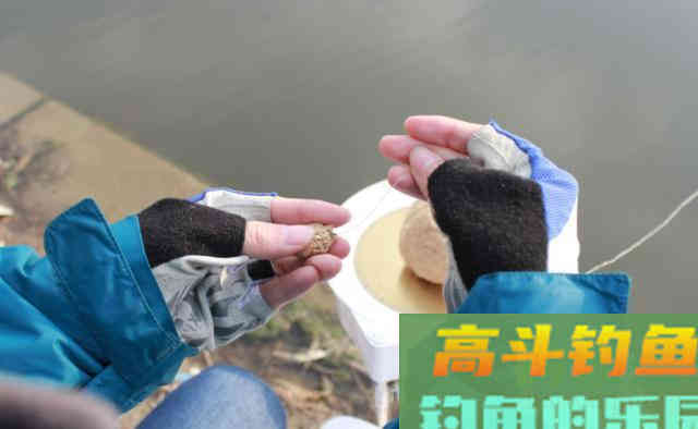 鲤鱼的口味怎么像女朋友的心情,说变就变 鲤鱼的口味怎么像女朋友的心情,说变就变
