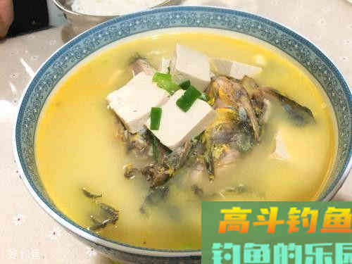 手竿野钓黄颡鱼应该注意那几个方面知识