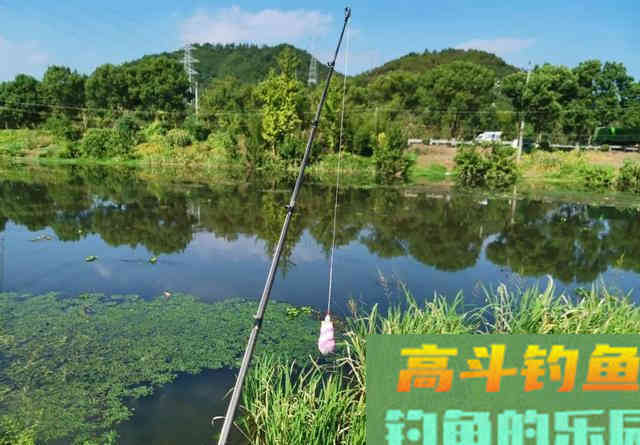 钓黑鱼的黄金季节要到了 钓黑鱼的黄金季节要到了