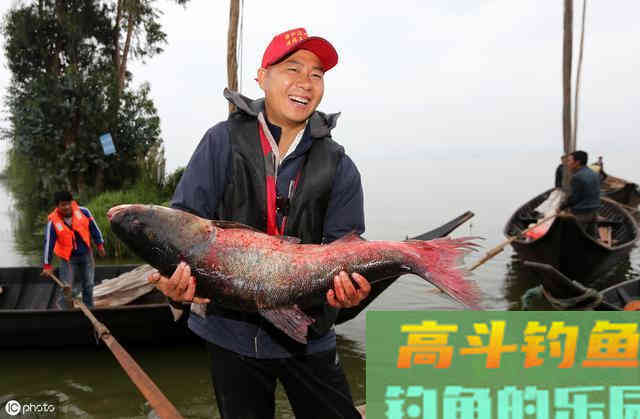 钓鲢鳙的习性、线组搭配、钓点选择和饵料配方 钓鲢鳙的习性、线组搭配、钓点选择和饵料配方