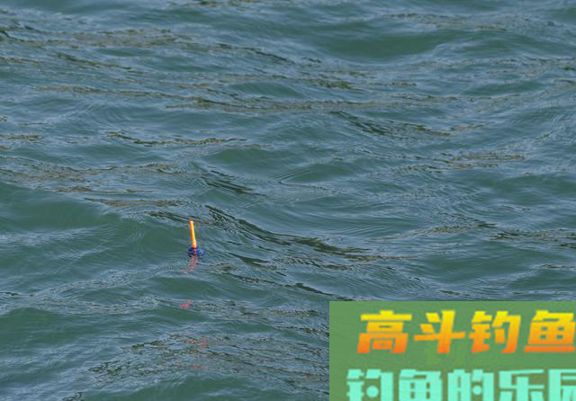 冬季钓鲢鳙的4大注意事项 冬季钓鲢鳙的4大注意事项