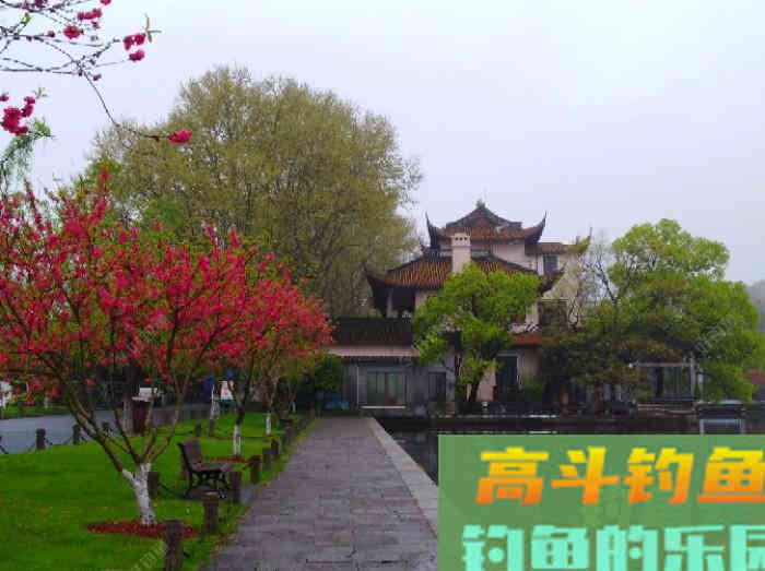 有效钓鲫鱼的3个办法，做窝补窝和调钓，和应对技巧